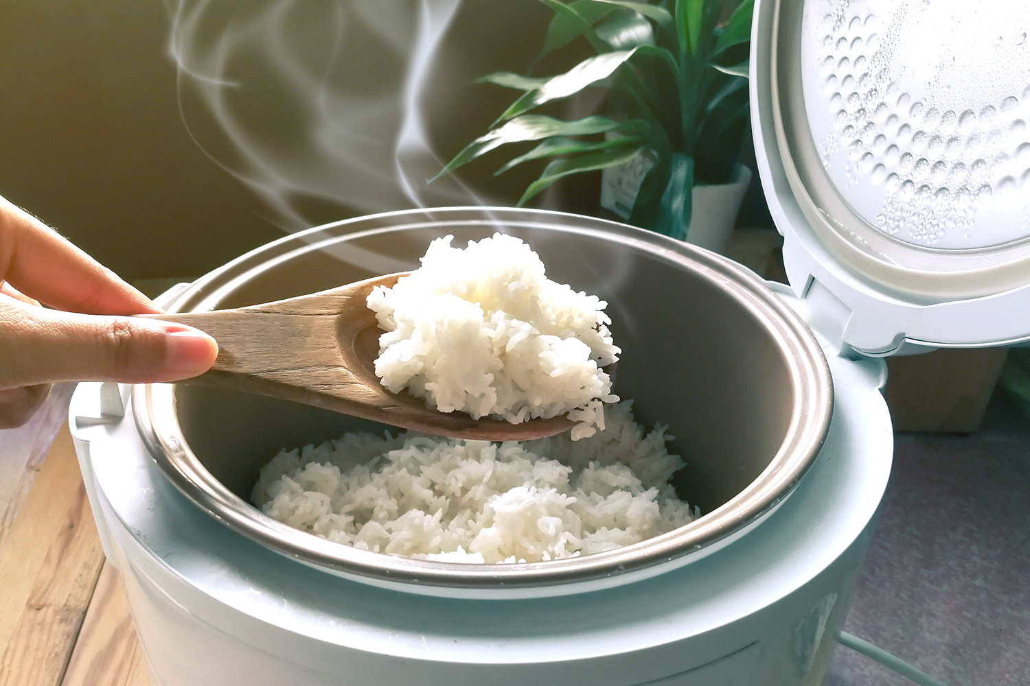 Scooping freshly steamed white rice from a rice cooker using a wooden spoon.